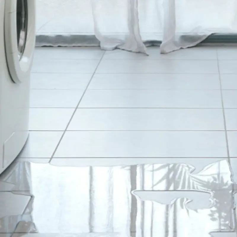 Appliance Leak Cleanup in Alvin, TX