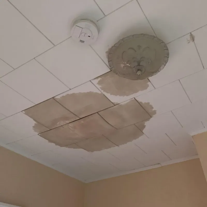 Ceiling Water Damage Repair in Alvin, TX