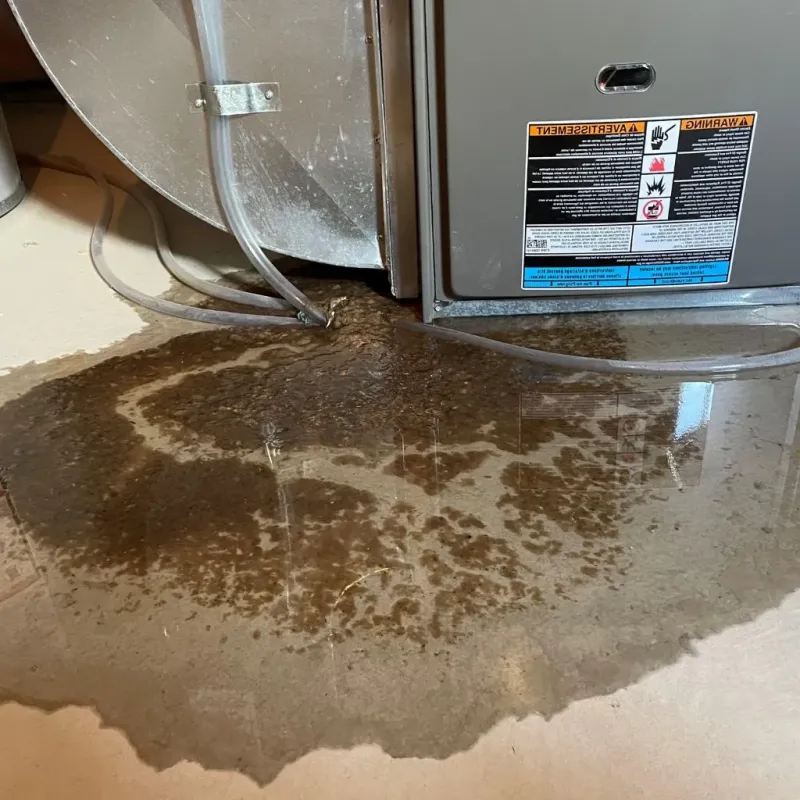 Pipe Burst and Leak Restoration in Alvin, TX