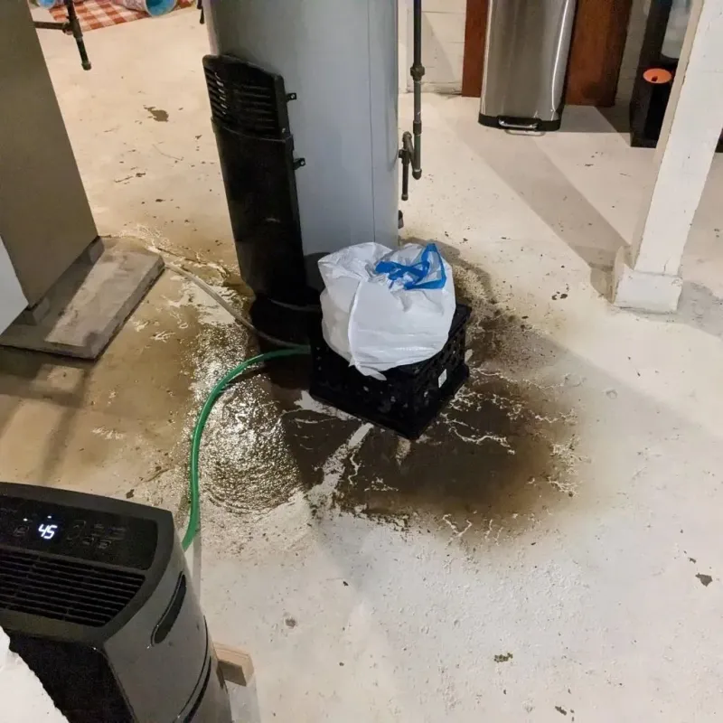 Sewage Backup Cleanup Service in Alvin, TX